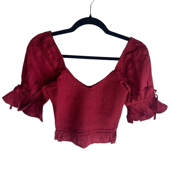 NWT Band of the Free Whimsigoth Romantic Ruby Rhubarb Smocked Crop Top Size XS - Picture 6 of 9